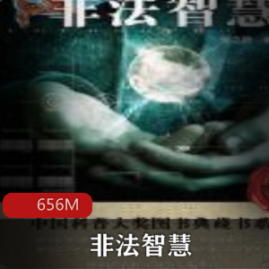 （非法智慧）有声小说