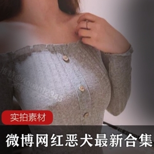 网红恶犬视频合集