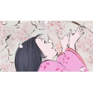 辉夜姬物语：日本动画经典珍藏版，强烈推荐