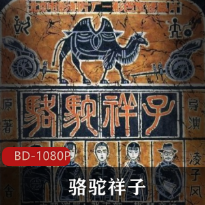 骆驼祥子：张丰毅主演的经典怀旧电影推荐