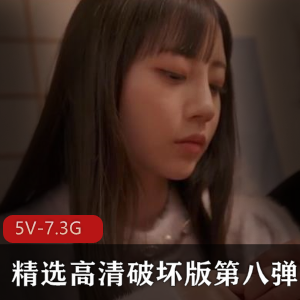 高清破坏版第八弹五部[5V-7.3G]