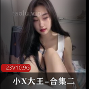 小X大王合集，长视频短视频，无广告原视频，30个视频10.5小时