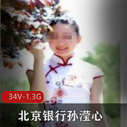 北京银行孙滢心：高傲业务合集，34个视频1.3G