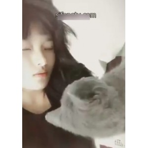 高倩直播秀：珍贵补品资源大揭秘，老资源增加功效！