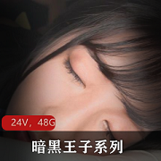 暗黑岛国剧本王子系列最新合集24部48.2G,无水印,妹子身材颜值俱佳
