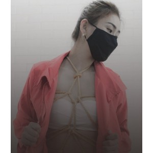 推圈DOMSSG萌宠教学122V138P1.3G珍藏版