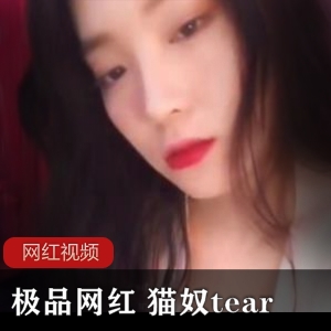 网红猫奴tear11部作品某站3.24G太勾魂了